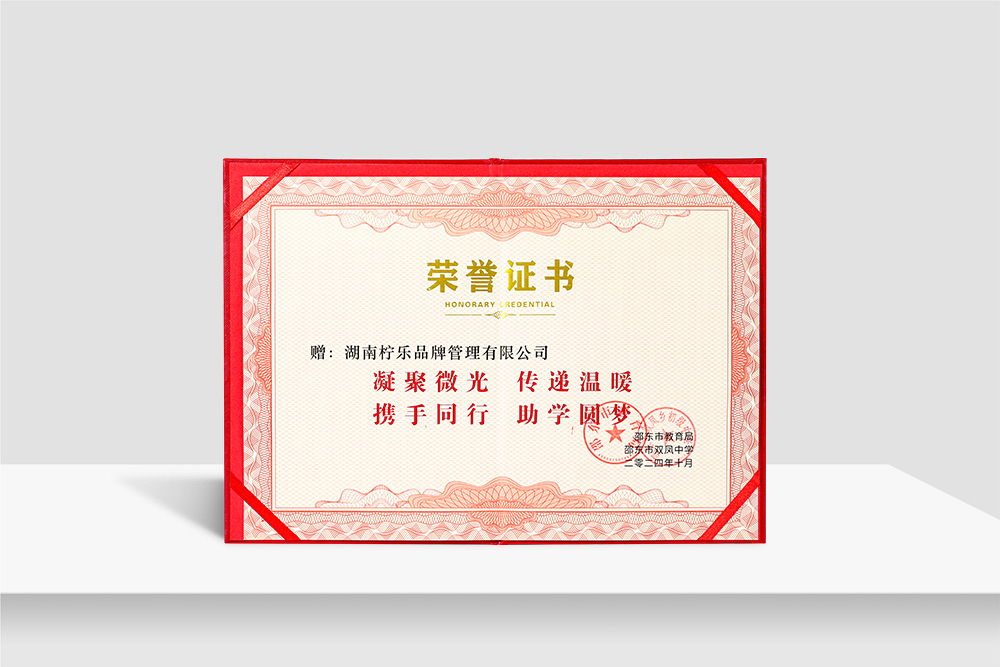 邵阳市双凤乡双凤中学爱心助学行动