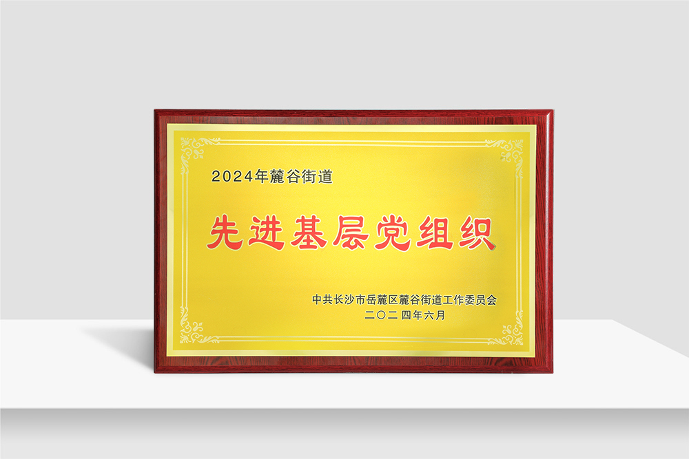 2024年麓谷街道先进基层党组织