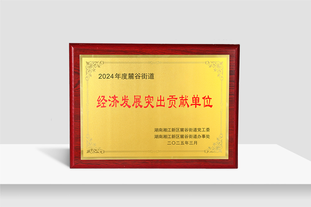 2024年麓谷街道经济法发展突出贡献单位
