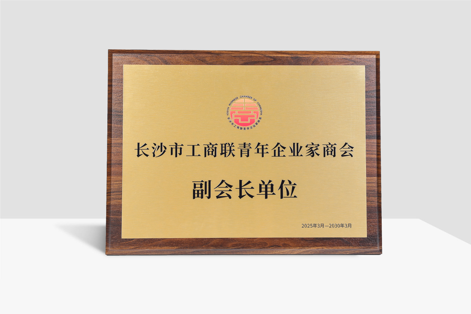长沙市工商联青年企业家商会副会长单位