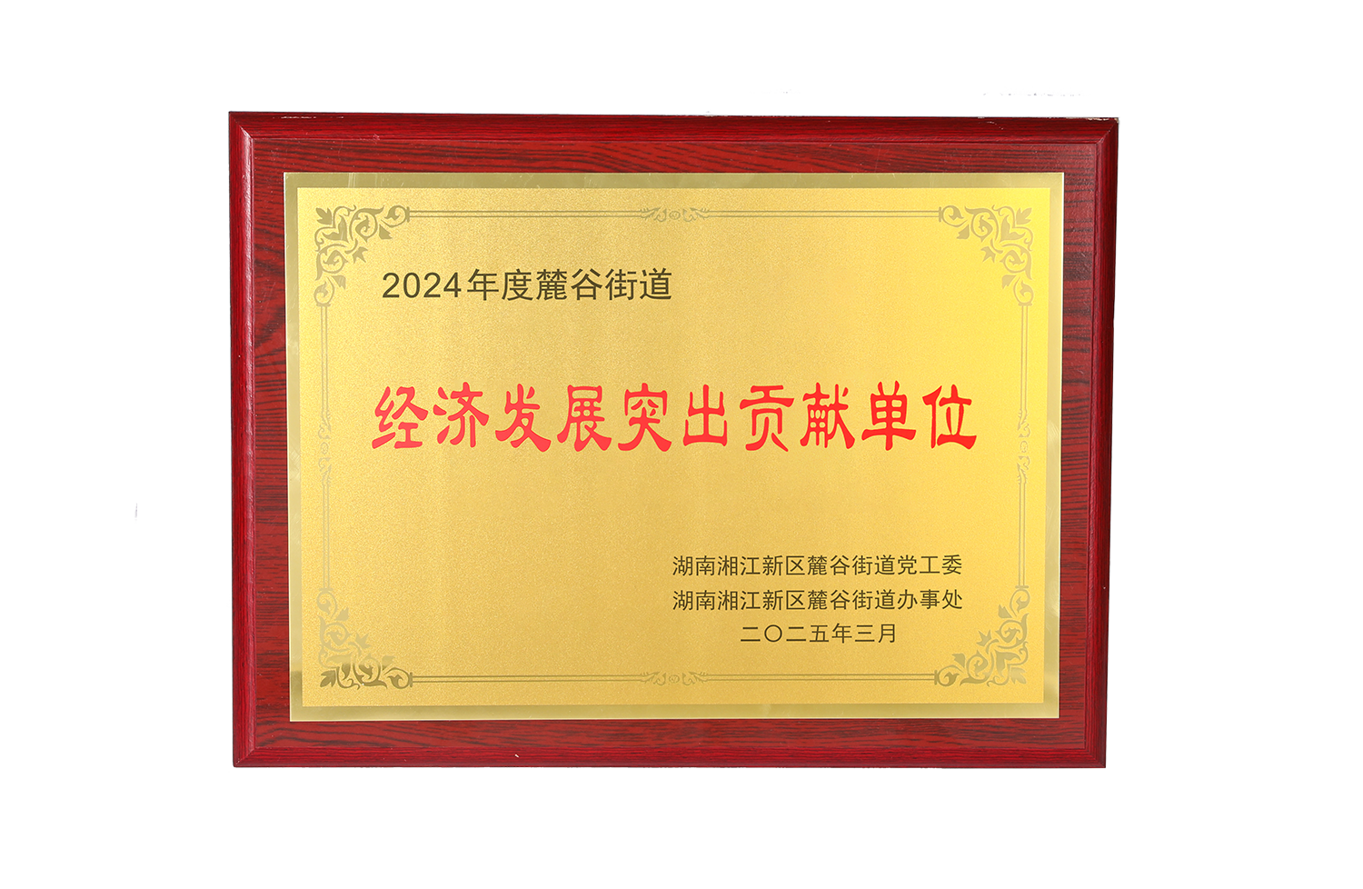 2024年麓谷街道经济发展突出贡献单位.png